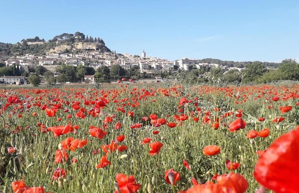 L'Amanderaie Piscine Privee A Cote De Lourmarin Luberon Daire Cadenet Dış mekan fotoğraf